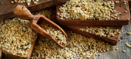Unveiling a Hidden Gem: the Wonders of Hemp Seeds